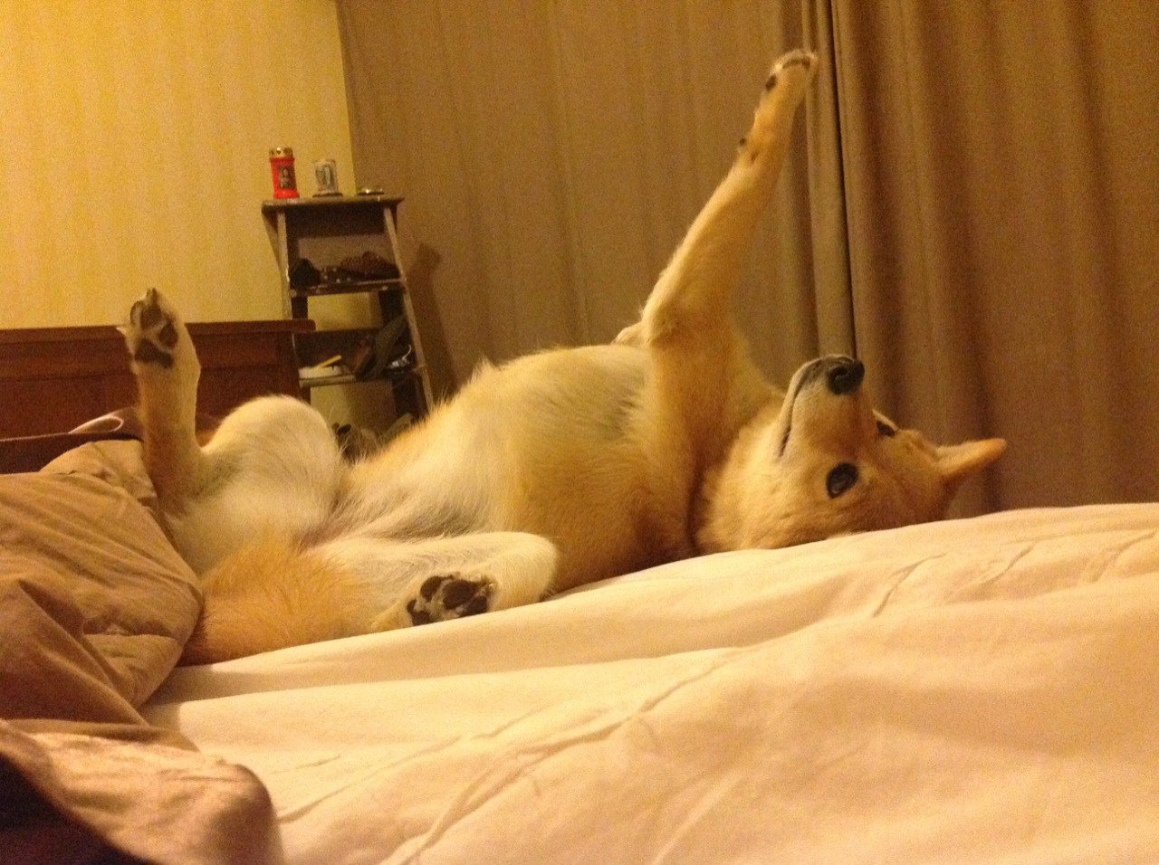 球鞋与步枪，当本泽马在北境战争的季后赛接管比赛