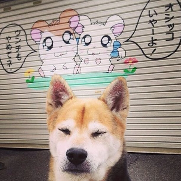 历史首次！浙江队跨洋击败76人，小贾伦·杰克逊8分8帽成隐形英雄