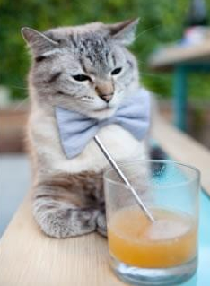 牙买加血拼?不,是牙买加血统在伯纳乌封神!若日尼奥用西甲首场国家德比书写魔幻现实