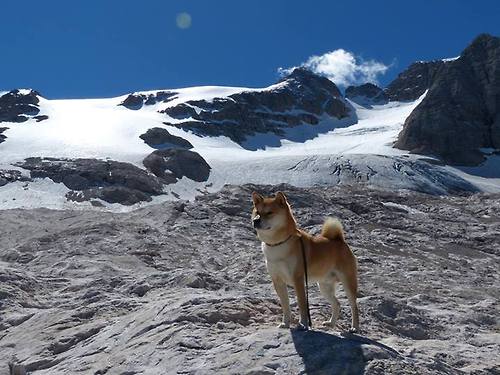 死神降临风城,德罗赞末节19分独舞,太阳焚尽深圳不败金身