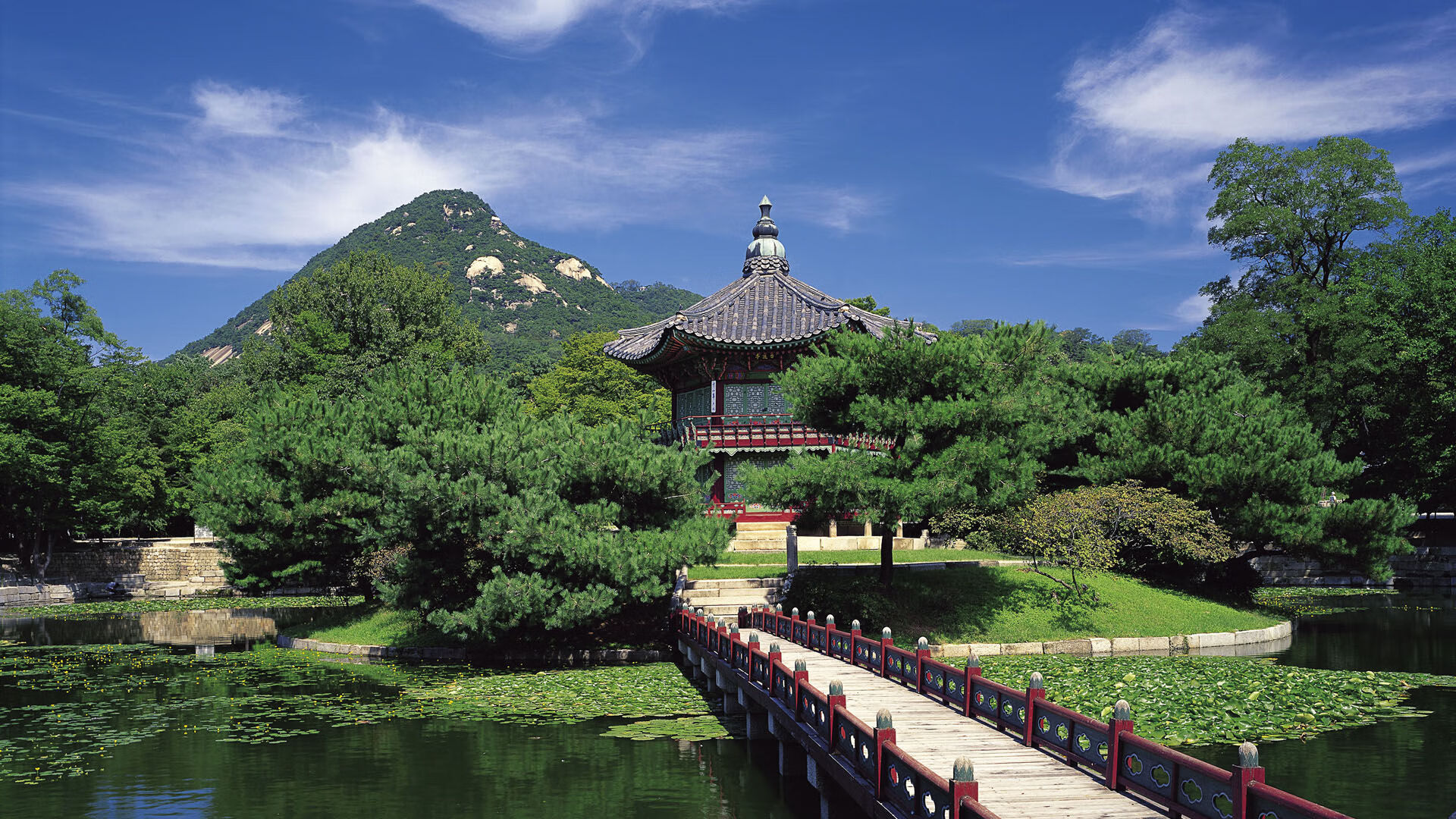 唯一性的烙印,从西决生死战到曼城硬仗取胜阿尔及利亚的焦点启示