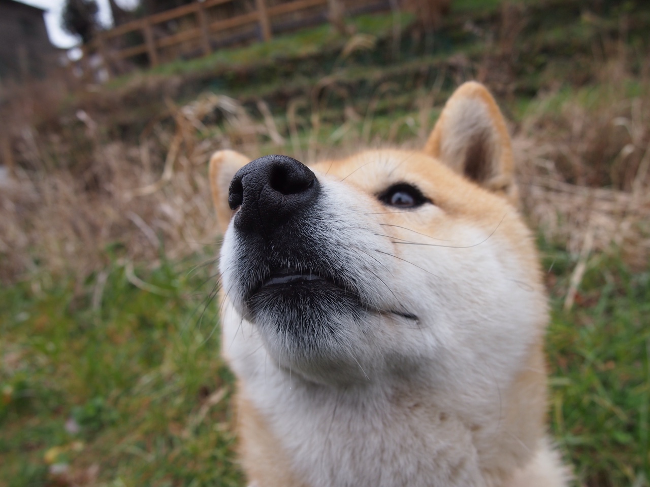 雷火电竞网站-神针定海！奥纳纳补时神扑定乾坤，贝蒂斯战术完胜擒拉齐奥