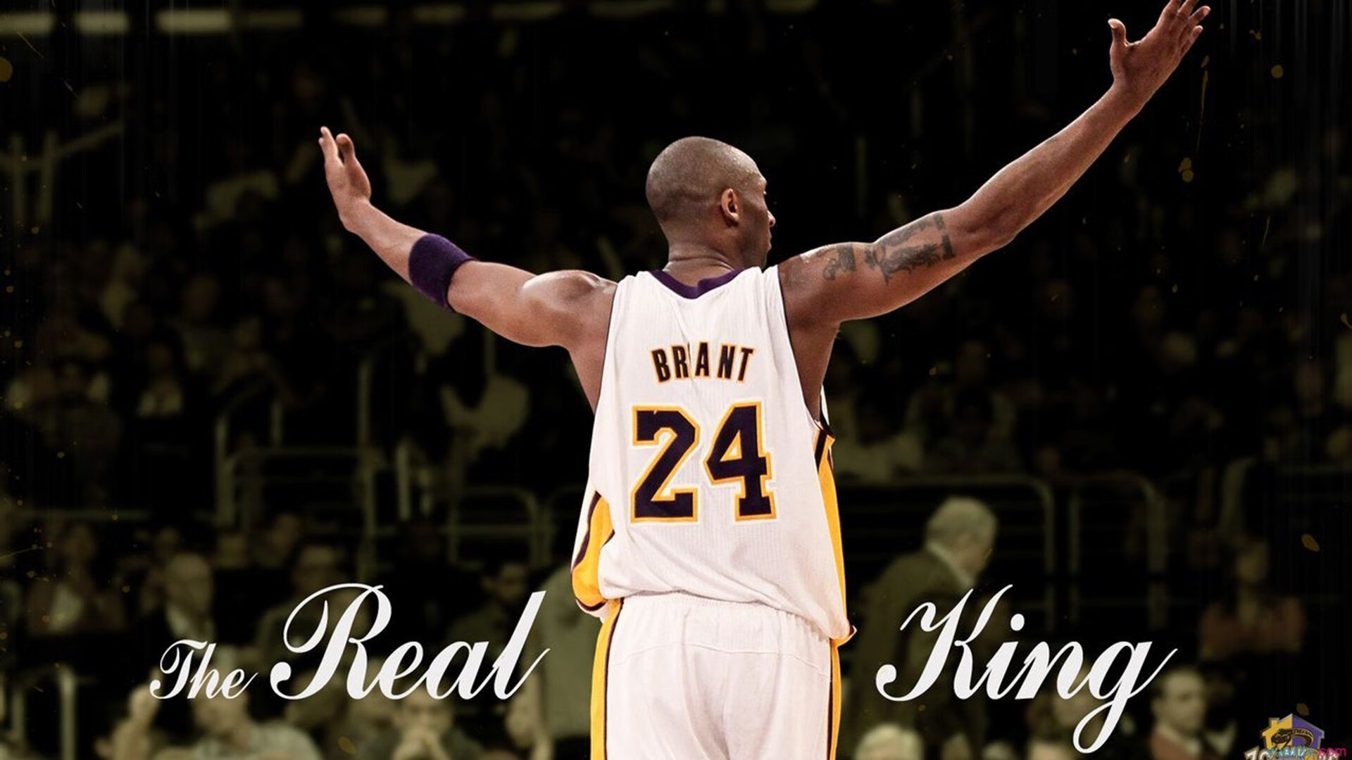 冷面刺客刺穿红色城堡,阿尔瓦雷斯在梦剧场用实力打破所有质疑