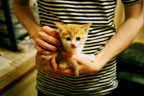 孤胆英雄撕裂团队篮球,德罗赞全场47分背后,隐藏着什么篮球哲学?