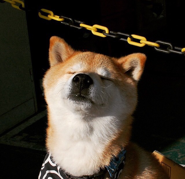 横跨三代人的复仇,摩洛哥用最摩洛哥的方式,将C罗的世界杯绝唱钉在宿命之柱上