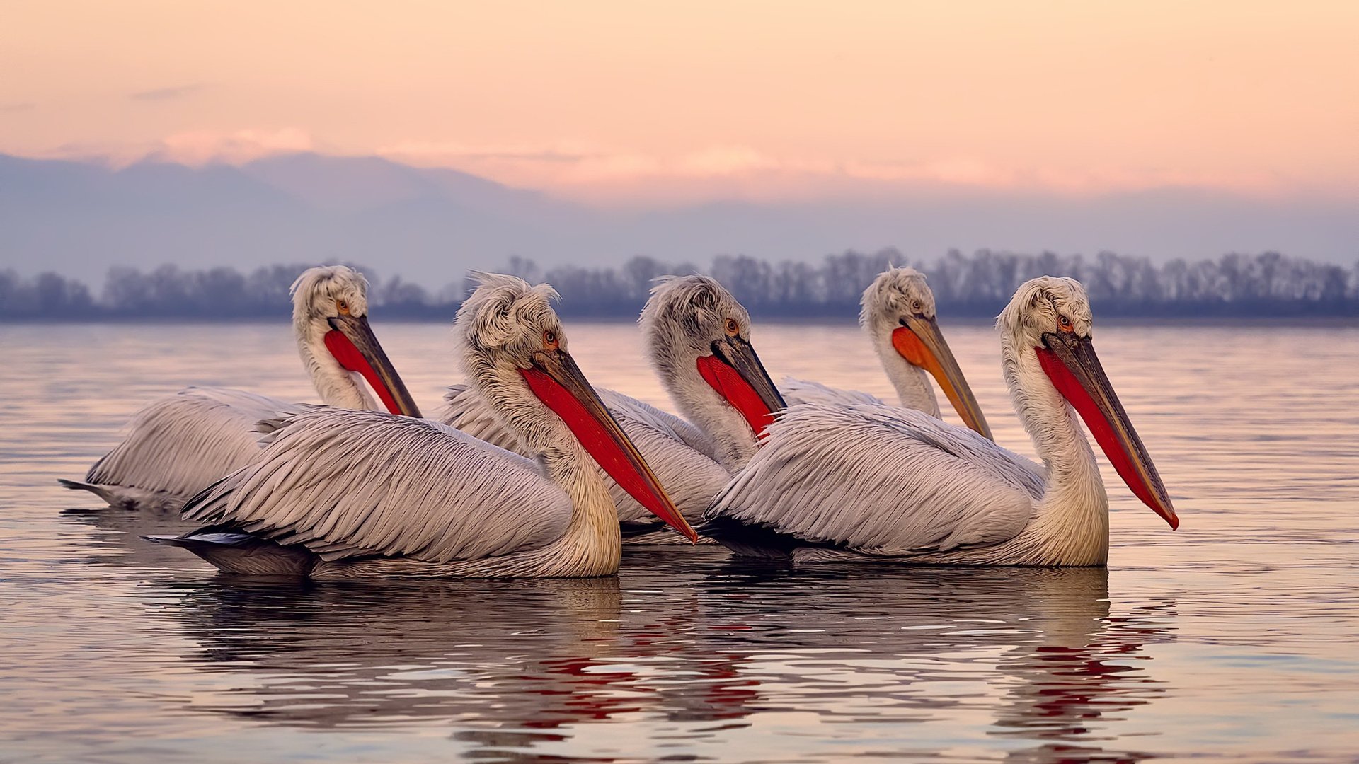 双星闪耀,快船碾压奇才展露獠牙,约基奇欧陆赛场演绎王者接管